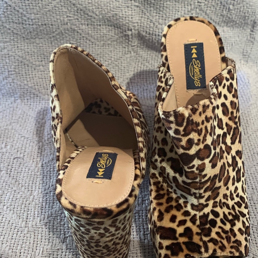 Shellys London - Picture 4 of 4